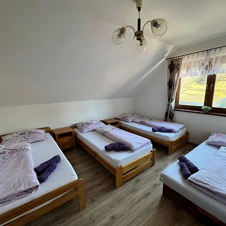 Kenka ספישסקה סטארה וס