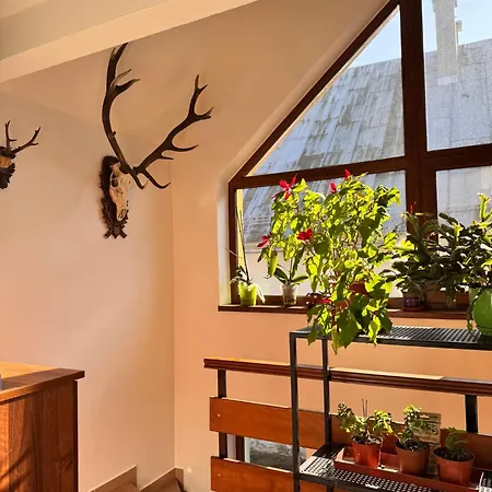 Kenka アパート スピスカ・スタラ・ヴェス