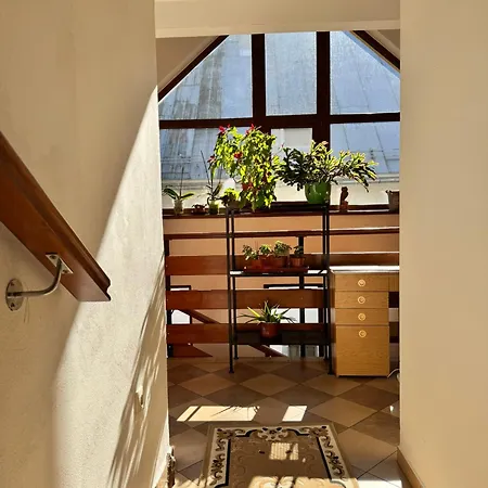 Kenka * ספישסקה סטארה וס