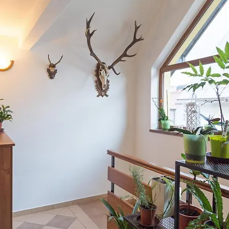 Apartment Kenka